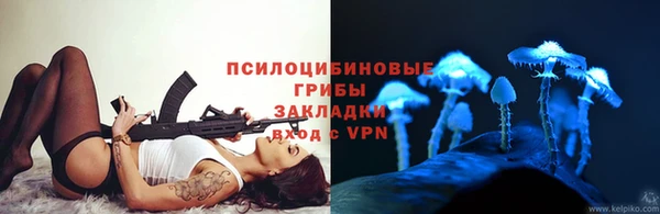 твердый Корсаков