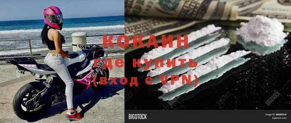 гашик Коряжма