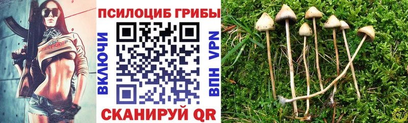 мега вход  Кочубеевское  Псилоцибиновые грибы ЛСД  купить наркотик 